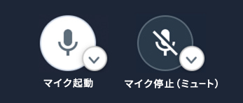 マイク起動、マイク停止のボタン